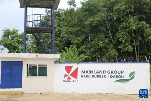 中非共绘农业发展新蓝图