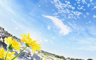 亮丽风景摄影桌面壁纸制作全攻略