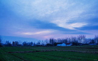 摄影社区 激发灵感与交流的平台